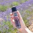 Sie sehen eine Packung Panier des Sens Eau de Toilette Lavendel, Produktbild: 02 Panier des Sens Eau de Toilette Lavendel, A-Nr.: 5958920 - 02
