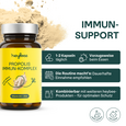 Propolis Immun-Komplex, A-Nr.: 5997920 - 03