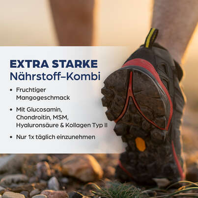 Dr. Böhm Gelenks complex intensiv Mango, A-Nr.: 5298010 - 03