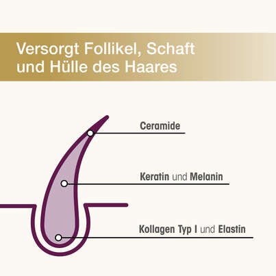Sie sehen eine Packung Dr. Böhm Haarstruktur Premium Wirkkomplex, Produktbild: 02 Dr. Böhm Haarstruktur Premium Wirkkomplex, A-Nr.: 6028146 - 02