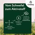Sie sehen eine Packung Vitabay MSM - Methylsulfonylmethan 1.000 mg, Produktbild: 05 Vitabay MSM - Methylsulfonylmethan 1.000 mg, A-Nr.: 6049013 - 05