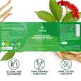 Sie sehen eine Packung Vitabay Roter Panax Ginseng Extrakt Hochdosiert - 600 mg, Produktbild: 06 Vitabay Roter Panax Ginseng Extrakt Hochdosiert - 600 mg, A-Nr.: 6047439 - 06