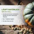 Dr. Böhm Kürbis nur 1 Tablette täglich, A-Nr.: 1609022 - 03