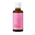 Sie sehen eine Packung Weleda Damm-massageoel 50ml, Produktbild: 07 Weleda Damm-massageoel 50ml, A-Nr.: 2572870 - 07