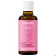 Sie sehen eine Packung Weleda Damm-massageoel 50ml, Produktbild: 08 Weleda Damm-massageoel 50ml, A-Nr.: 2572870 - 08