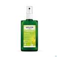 Sie sehen eine Packung Weleda Citrus 24h Deodorant Nachfuellflasche 200ml, Produktbild: 06 Weleda Citrus 24h Deodorant Nachfuellflasche 200ml, A-Nr.: 1614833 - 06