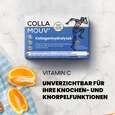 Sie sehen eine Packung CollaMouv® Original, Produktbild: 05 CollaMouv® Original, A-Nr.: 6118085 - 05