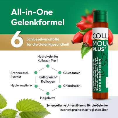 Sie sehen eine Packung CollaMouv Plus®, Produktbild: 04 CollaMouv Plus®, A-Nr.: 6118079 - 04