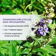Sie sehen eine Packung Dr. Böhm® Mönchspfeffer forte 20 mg, Produktbild: 03 Dr. Böhm® Mönchspfeffer forte 20 mg, A-Nr.: 5530079 - 03