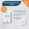 Sie sehen eine Packung NatuGena MitochondrienAktivator Pulver, Produktbild: 10 NatuGena MitochondrienAktivator Pulver, A-Nr.: 6011849 - 10