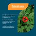Sie sehen eine Packung NatuGena Roter Ginseng Kapseln, Produktbild: 02 NatuGena Roter Ginseng Kapseln, A-Nr.: 6036051 - 02