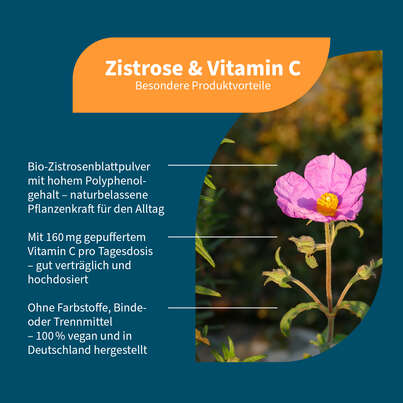 Sie sehen eine Packung NatuGena Zistrose & Vitamin C Kapseln, Produktbild: 02 NatuGena Zistrose & Vitamin C Kapseln, A-Nr.: 6040325 - 02