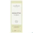 Sie sehen eine Packung Aetherische Oele Dr.eberhardt Bio Eukalyptus 80/85 10ml, Produktbild: 01 Aetherische Oele Dr.eberhardt Bio Eukalyptus 80/85 10ml, A-Nr.: 5765090 - 01