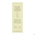 Sie sehen eine Packung Aetherische Oele Dr.eberhardt Bio Eukalyptus 80/85 10ml, Produktbild: 03 Aetherische Oele Dr.eberhardt Bio Eukalyptus 80/85 10ml, A-Nr.: 5765090 - 03