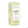 Sie sehen eine Packung Aetherische Oele Dr.eberhardt Bio Eukalyptus Radiata B 5ml, Produktbild: 02 Aetherische Oele Dr.eberhardt Bio Eukalyptus Radiata B 5ml, A-Nr.: 5765121 - 02