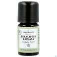 Sie sehen eine Packung Aetherische Oele Dr.eberhardt Bio Eukalyptus Radiata B 5ml, Produktbild: 09 Aetherische Oele Dr.eberhardt Bio Eukalyptus Radiata B 5ml, A-Nr.: 5765121 - 09