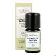 Sie sehen eine Packung Aetherische Oele Dr.eberhardt Bio Eukalyptus Radiata B 5ml, Produktbild: 12 Aetherische Oele Dr.eberhardt Bio Eukalyptus Radiata B 5ml, A-Nr.: 5765121 - 12