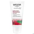 Sie sehen eine Packung Weleda Salbei Zahnfleisch Balsam Tb 30ml, Produktbild: 03 Weleda Salbei Zahnfleisch Balsam Tb 30ml, A-Nr.: 1805384 - 03