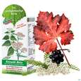 Sie sehen eine Packung Beinwohl Aktiv Kraeuterfit Elixier Bio Kraeuter Fruechte Alkoholfrei 330ml, Produktbild: 08 Beinwohl Aktiv Kraeuterfit Elixier Bio Kraeuter Fruechte Alkoholfrei 330ml, A-Nr.: 3961734 - 08