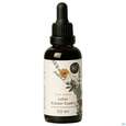 Kraeuter Essenz Lebergesundheit Liver Detox 50ml, A-Nr.: 5969817 - 04