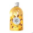 Sie sehen eine Packung Roger & Gallet Bois Dorange Wellbeing Shower Gel Jumbo Groesse 500ml, Produktbild: 01 Roger & Gallet Bois Dorange Wellbeing Shower Gel Jumbo Groesse 500ml, A-Nr.: 5917105 - 01