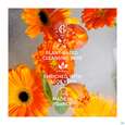 Sie sehen eine Packung Roger & Gallet Bois Dorange Wellbeing Shower Gel Jumbo Groesse 500ml, Produktbild: 05 Roger & Gallet Bois Dorange Wellbeing Shower Gel Jumbo Groesse 500ml, A-Nr.: 5917105 - 05