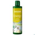 Sie sehen eine Packung Weleda Energy Shower Gel Ingwer 400ml, Produktbild: 02 Weleda Energy Shower Gel Ingwer 400ml, A-Nr.: 5909502 - 02