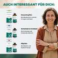 Apozema® Nr. 02 Allergie-Tropfen, A-Nr.: 0988023 - 07