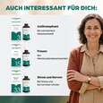 Sie sehen eine Packung Apozema® Nr. 01 Akne-Tropfen, Produktbild: 07 Apozema® Nr. 01 Akne-Tropfen, A-Nr.: 0987696 - 07