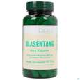 Sie sehen eine Packung Bios Blasentang 100 Kapseln, Produktbild: 01 Bios Blasentang 100 Kapseln, A-Nr.: 3890773 - 01