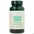 Sie sehen eine Packung Bios Daucus Carota 100 Kapseln, Produktbild: 01 Bios Daucus Carota 100 Kapseln, A-Nr.: 3891086 - 01