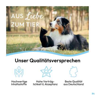 Sie sehen eine Packung Veterinaerprodukte Pha Augenpflege Hund +katze Lösung 20ml, Produktbild: 07 Veterinaerprodukte Pha Augenpflege Hund +katze Lösung 20ml, A-Nr.: 4996798 - 07