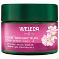 Sie sehen eine Packung Weleda Wildrose/+weisser Tee Glaettende Nachtpflege 40ml, Produktbild: 08 Weleda Wildrose/+weisser Tee Glaettende Nachtpflege 40ml, A-Nr.: 5838179 - 08