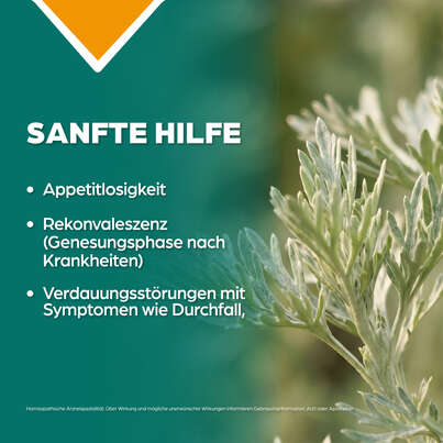 Sie sehen eine Packung Apozema® Nr. 04 Appetit-Tropfen, Produktbild: 03 Apozema® Nr. 04 Appetit-Tropfen, A-Nr.: 0745444 - 03