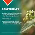 Sie sehen eine Packung Apozema® Nr. 06 Bandscheiben- und Gelenk-Tropfen, Produktbild: 03 Apozema® Nr. 06 Bandscheiben- und Gelenk-Tropfen, A-Nr.: 0987963 - 03