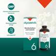 Sie sehen eine Packung Apozema® Nr. 06 Bandscheiben- und Gelenk-Tropfen, Produktbild: 04 Apozema® Nr. 06 Bandscheiben- und Gelenk-Tropfen, A-Nr.: 0987963 - 04