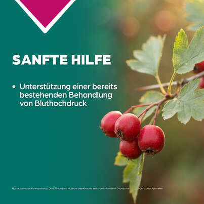 Apozema® Nr. 10 Bluthochdruck-Tropfen, A-Nr.: 0987880 - 03