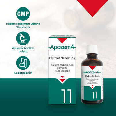 Sie sehen eine Packung Apozema® Nr. 11 Blutniederdruck-Tropfen, Produktbild: 04 Apozema® Nr. 11 Blutniederdruck-Tropfen, A-Nr.: 0987816 - 04