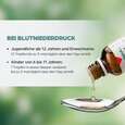 Sie sehen eine Packung Apozema® Nr. 11 Blutniederdruck-Tropfen, Produktbild: 05 Apozema® Nr. 11 Blutniederdruck-Tropfen, A-Nr.: 0987816 - 05