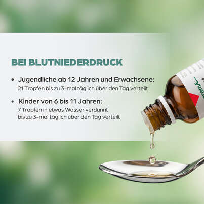 Sie sehen eine Packung Apozema® Nr. 11 Blutniederdruck-Tropfen, Produktbild: 05 Apozema® Nr. 11 Blutniederdruck-Tropfen, A-Nr.: 0987816 - 05