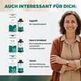 Sie sehen eine Packung Apozema® Nr. 11 Blutniederdruck-Tropfen, Produktbild: 07 Apozema® Nr. 11 Blutniederdruck-Tropfen, A-Nr.: 0987816 - 07