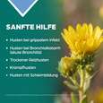 Sie sehen eine Packung Apozema® Nr. 12 Bronchial- und Husten-Tropfen, Produktbild: 03 Apozema® Nr. 12 Bronchial- und Husten-Tropfen, A-Nr.: 0987839 - 03