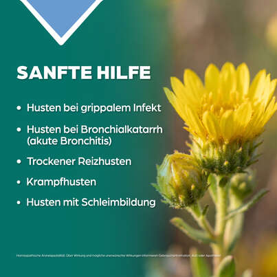 Sie sehen eine Packung Apozema® Nr. 12 Bronchial- und Husten-Tropfen, Produktbild: 03 Apozema® Nr. 12 Bronchial- und Husten-Tropfen, A-Nr.: 0987839 - 03