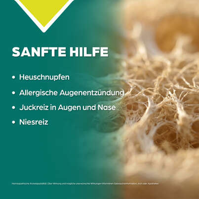Apozema® Nr. 19 Heuschnupfen-Tropfen, A-Nr.: 0987791 - 03