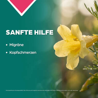 Sie sehen eine Packung Apozema® Nr. 22 Migräne-Tropfen, Produktbild: 03 Apozema® Nr. 22 Migräne-Tropfen, A-Nr.: 0987868 - 03