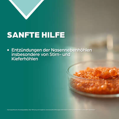 Sie sehen eine Packung Apozema® Nr. 31 Sinusitis-Tropfen, Produktbild: 03 Apozema® Nr. 31 Sinusitis-Tropfen, A-Nr.: 0987822 - 03
