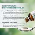 Sie sehen eine Packung Apozema® Nr. 31 Sinusitis-Tropfen, Produktbild: 05 Apozema® Nr. 31 Sinusitis-Tropfen, A-Nr.: 0987822 - 05