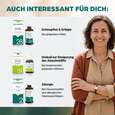 Sie sehen eine Packung Apozema® Nr. 31 Sinusitis-Tropfen, Produktbild: 07 Apozema® Nr. 31 Sinusitis-Tropfen, A-Nr.: 0987822 - 07