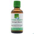 Sie sehen eine Packung Gemmo Mazerat Hartriegel/blutrot Cornus Sanguinea Phytopharma 50ml, Produktbild: 01 Gemmo Mazerat Hartriegel/blutrot Cornus Sanguinea Phytopharma 50ml, A-Nr.: 3107098 - 01