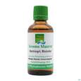 Sie sehen eine Packung Gemmo Mazerat Hartriegel/blutrot Cornus Sanguinea Phytopharma 50ml, Produktbild: 02 Gemmo Mazerat Hartriegel/blutrot Cornus Sanguinea Phytopharma 50ml, A-Nr.: 3107098 - 02